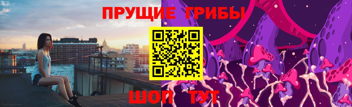 Псилоцибиновые грибы Psilocybe  Вход с VPN  Ачинск 